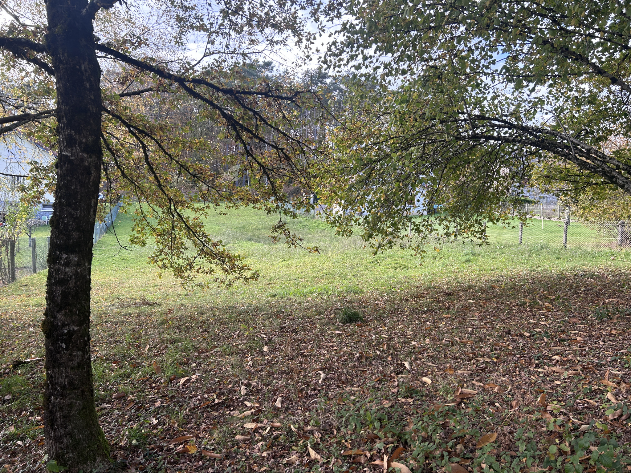 Troisième photo
