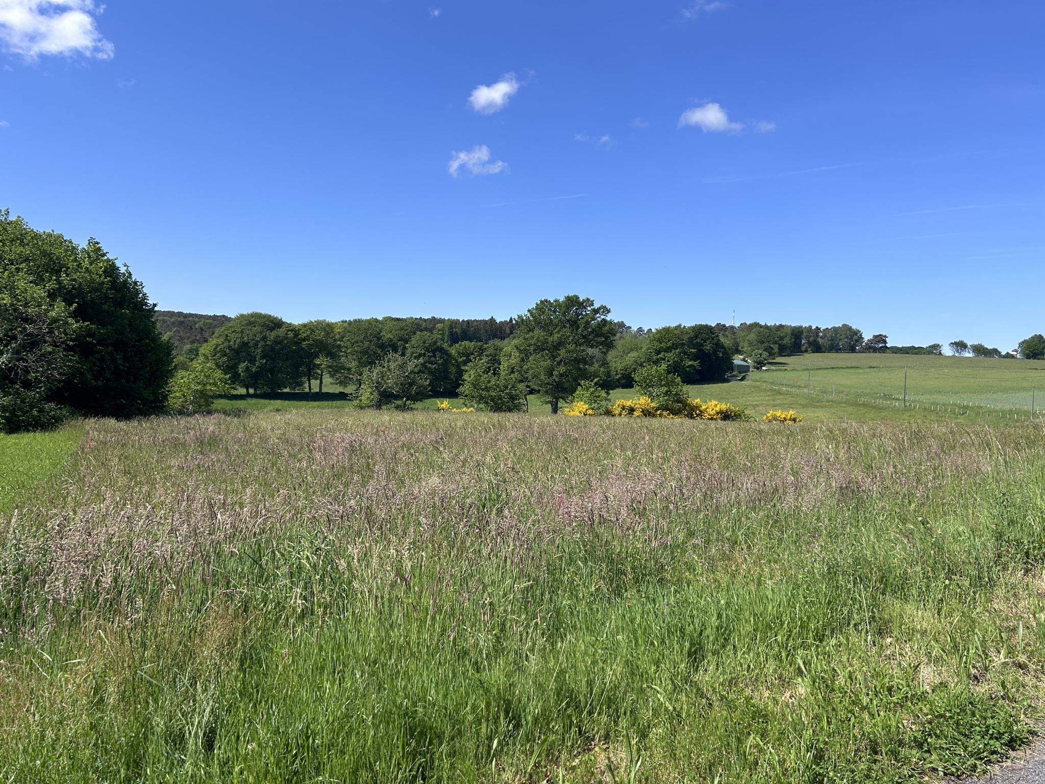 Terrain avec CU